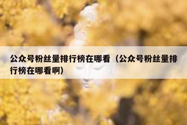 公众号粉丝量排行榜在哪看（公众号粉丝量排行榜在哪看啊） 第1张