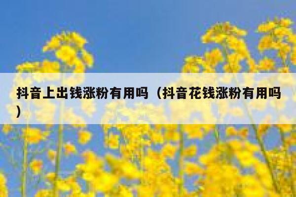 抖音上出钱涨粉有用吗(抖音花钱涨粉有用吗) 第1张 抖音上出钱涨粉有用吗(抖音花钱涨粉有用吗) 第1张