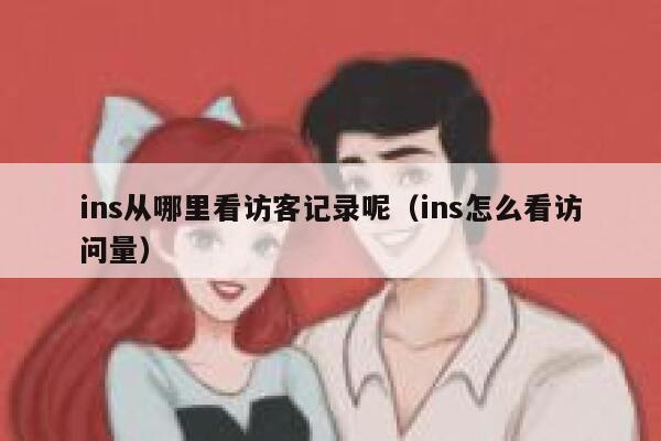 ins从哪里看访客记录呢（ins怎么看访问量） 第1张