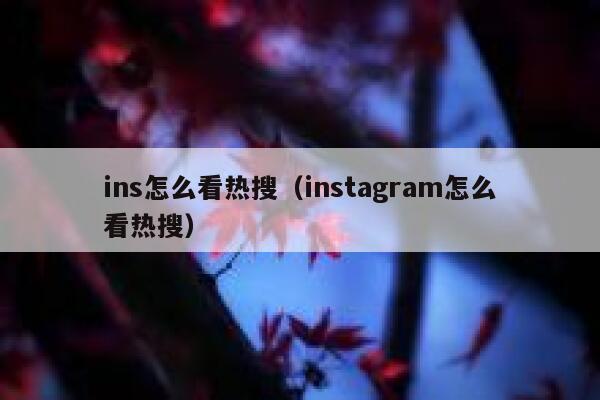 ins怎么看热搜（instagram怎么看热搜） 第1张