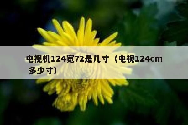 电视机124宽72是几寸（电视124cm 多少寸） 第1张