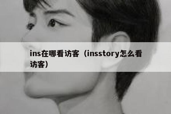 ins在哪看访客（insstory怎么看访客） 第1张