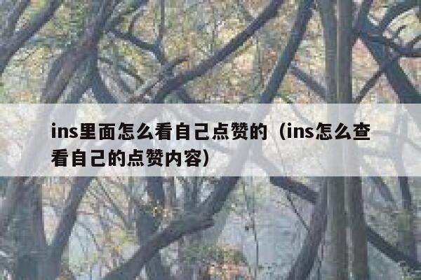 ins里面怎么看自己点赞的（ins怎么查看自己的点赞内容） 第1张