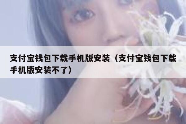 支付宝钱包下载手机版安装（支付宝钱包下载手机版安装不了） 第1张