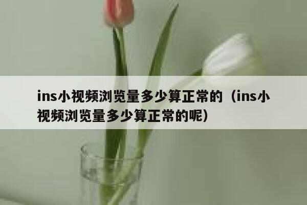 ins小视频浏览量多少算正常的（ins小视频浏览量多少算正常的呢） 第1张