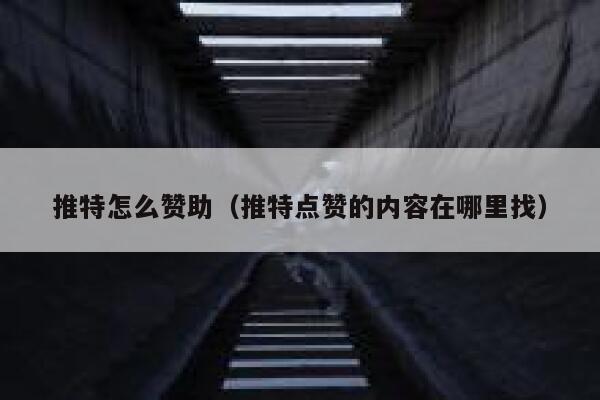 推特怎么赞助（推特点赞的内容在哪里找） 第1张
