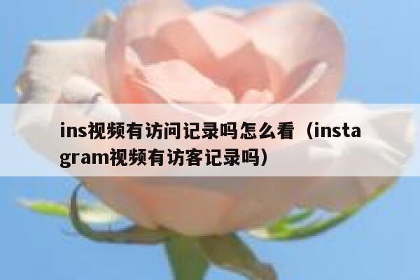 ins视频有访问记录吗怎么看（instagram视频有访客记录吗） 第1张