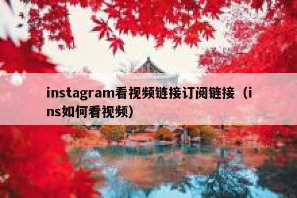 instagram看视频链接订阅链接（ins如何看视频） 第1张