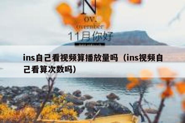 ins自己看视频算播放量吗（ins视频自己看算次数吗） 第1张