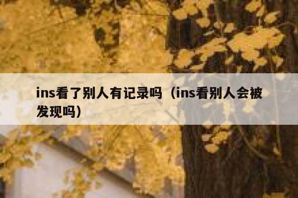 ins看了别人有记录吗（ins看别人会被发现吗） 第1张
