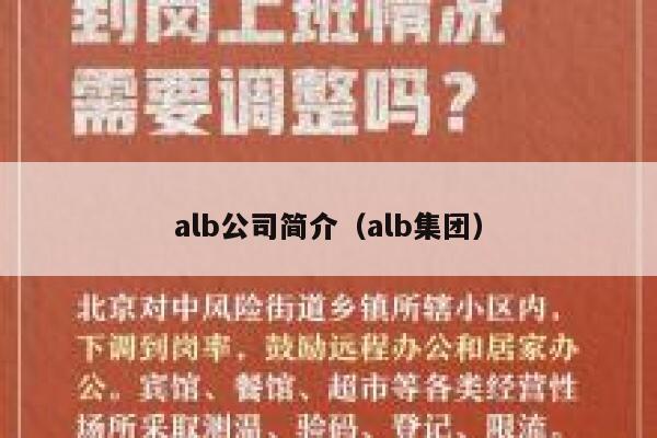 alb公司简介（alb集团） 第1张