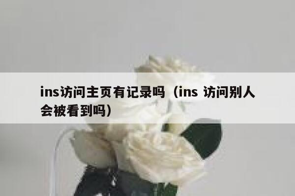 ins访问主页有记录吗（ins 访问别人会被看到吗） 第1张