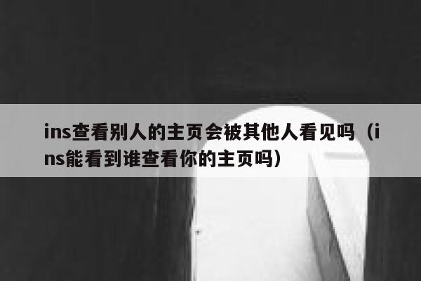 ins查看别人的主页会被其他人看见吗（ins能看到谁查看你的主页吗） 第1张