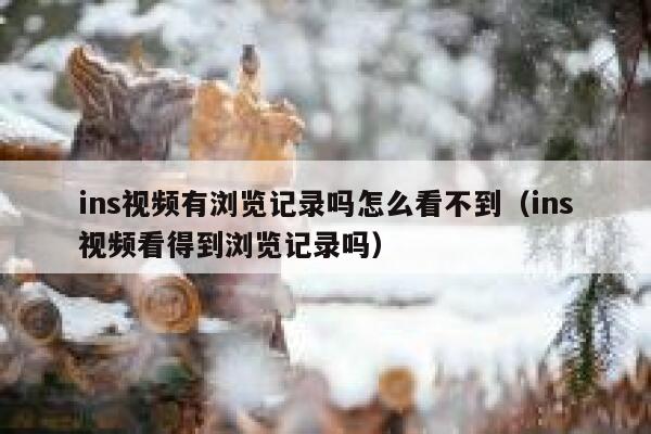 ins视频有浏览记录吗怎么看不到（ins视频看得到浏览记录吗） 第1张