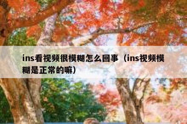 ins看视频很模糊怎么回事（ins视频模糊是正常的嘛） 第1张