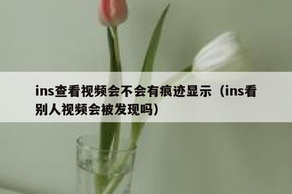 ins查看视频会不会有痕迹显示（ins看别人视频会被发现吗） 第1张