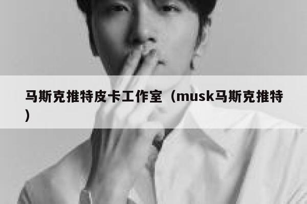 马斯克推特皮卡工作室（musk马斯克推特） 第1张