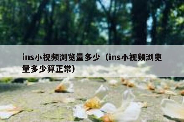 ins小视频浏览量多少（ins小视频浏览量多少算正常） 第1张