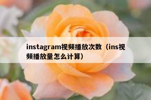 instagram视频播放次数（ins视频播放量怎么计算） 第1张