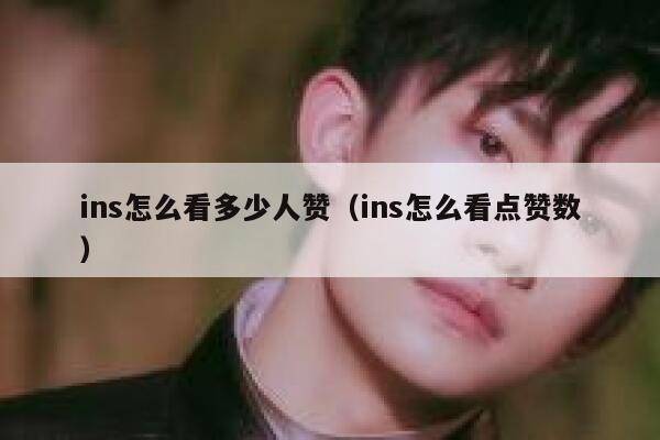 ins怎么看多少人赞（ins怎么看点赞数） 第1张