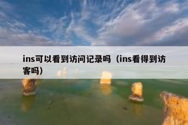 ins可以看到访问记录吗（ins看得到访客吗） 第1张