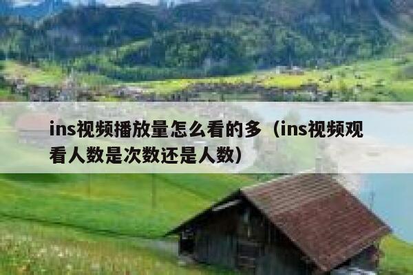ins视频播放量怎么看的多（ins视频观看人数是次数还是人数） 第1张