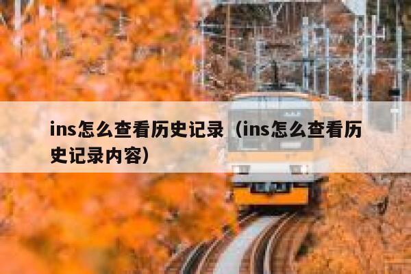 ins怎么查看历史记录（ins怎么查看历史记录内容） 第1张