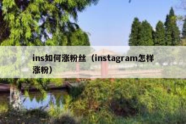 ins如何涨粉丝（instagram怎样涨粉） 第1张