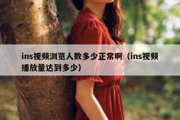 ins视频浏览人数多少正常啊（ins视频播放量达到多少） 第1张