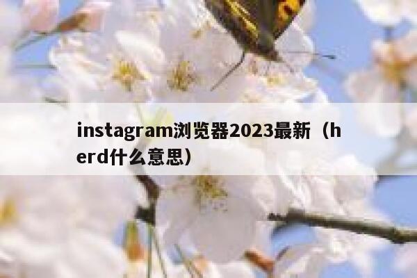 instagram浏览器2023最新（herd什么意思） 第1张