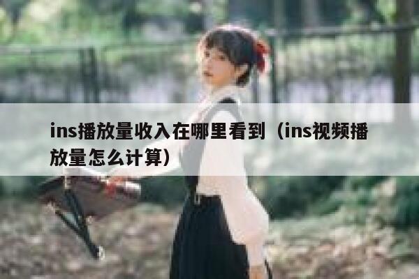 ins播放量收入在哪里看到（ins视频播放量怎么计算） 第1张