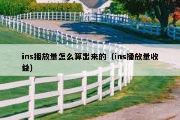 ins播放量怎么算出来的（ins播放量收益） 第1张
