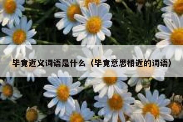 毕竟近义词语是什么（毕竟意思相近的词语） 第1张
