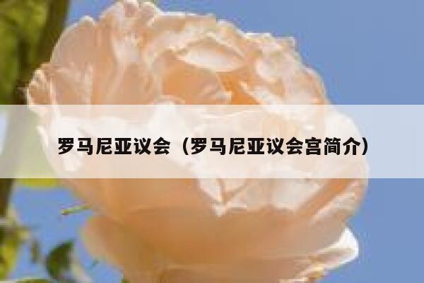 罗马尼亚议会（罗马尼亚议会宫简介） 第1张