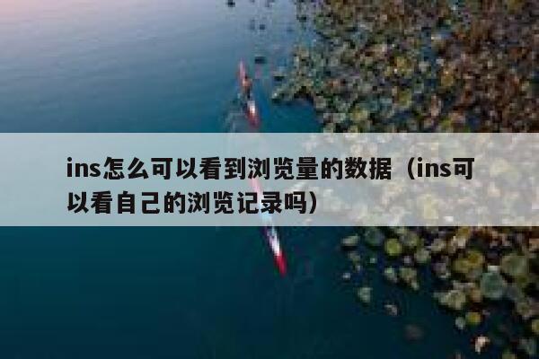 ins怎么可以看到浏览量的数据（ins可以看自己的浏览记录吗） 第1张