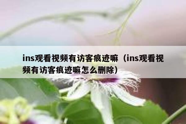 ins观看视频有访客痕迹嘛（ins观看视频有访客痕迹嘛怎么删除） 第1张