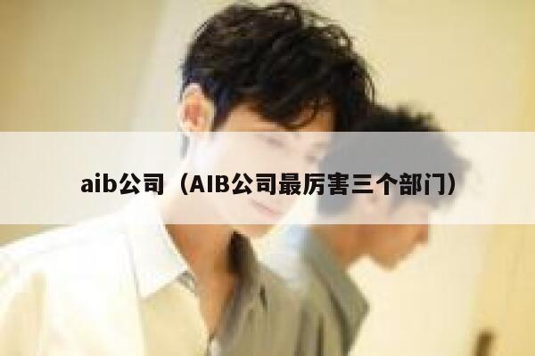 aib公司（AIB公司最厉害三个部门） 第1张