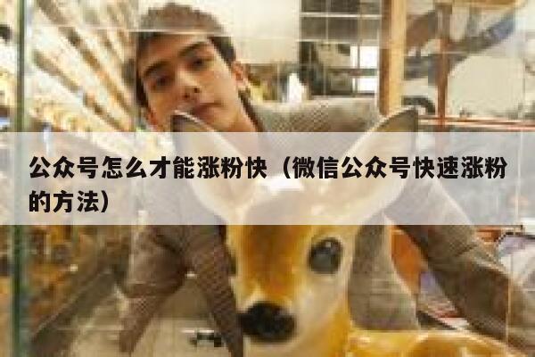 公众号怎么才能涨粉快（微信公众号快速涨粉的方法） 第1张