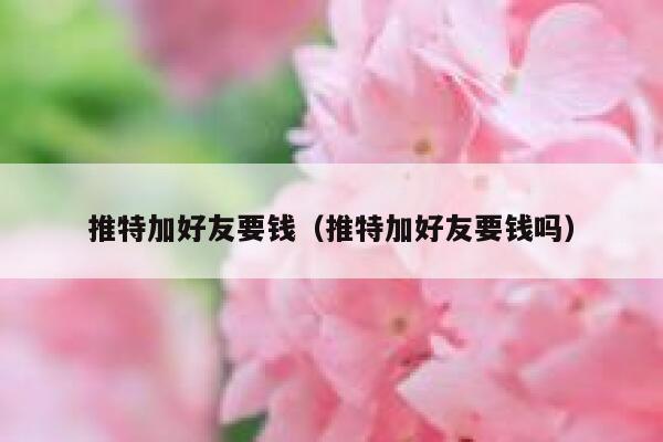 推特加好友要钱（推特加好友要钱吗） 第1张