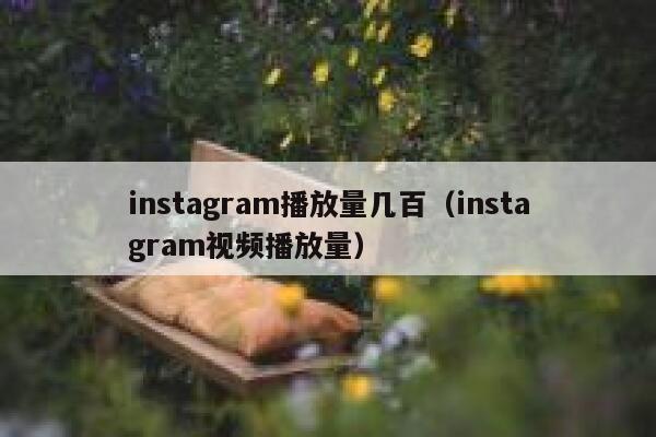 instagram播放量几百（instagram视频播放量） 第1张