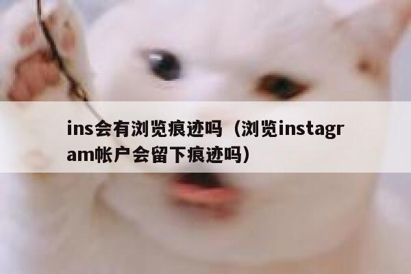 ins会有浏览痕迹吗（浏览instagram帐户会留下痕迹吗） 第1张