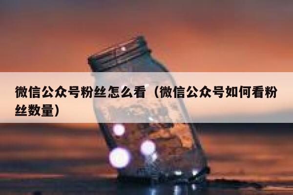 微信公众号粉丝怎么看（微信公众号如何看粉丝数量） 第1张