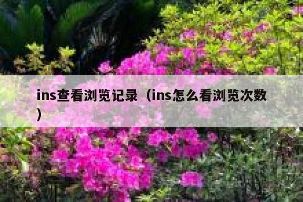 ins查看浏览记录（ins怎么看浏览次数） 第1张