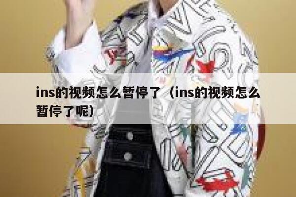 ins的视频怎么暂停了（ins的视频怎么暂停了呢） 第1张
