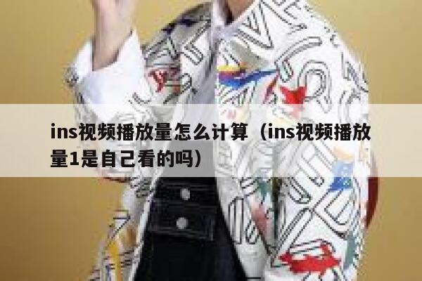 ins视频播放量怎么计算（ins视频播放量1是自己看的吗） 第1张