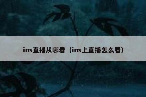 ins直播从哪看（ins上直播怎么看） 第1张