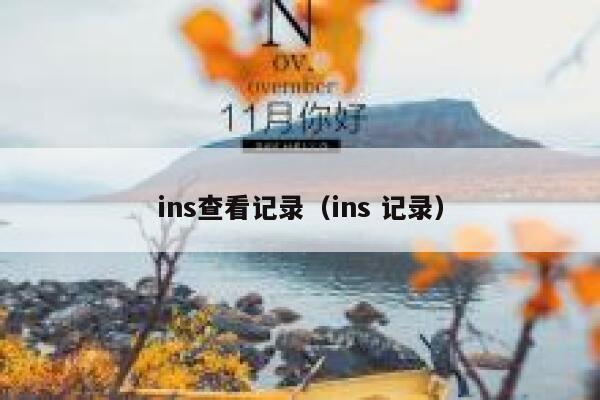 ins查看记录（ins 记录） 第1张
