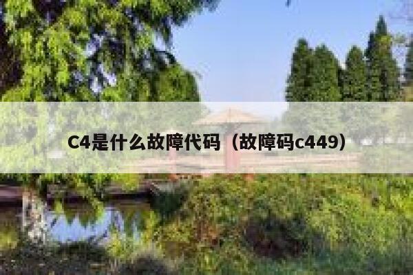 C4是什么故障代码（故障码c449） 第1张