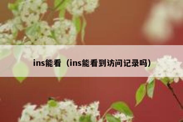 ins能看（ins能看到访问记录吗） 第1张