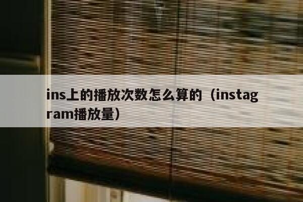 ins上的播放次数怎么算的（instagram播放量） 第1张